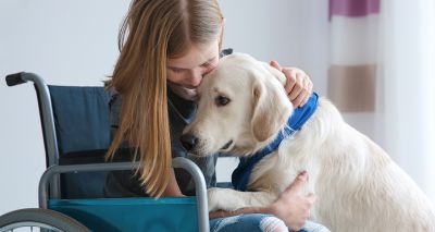 Dog Assistance in Disability achieves re-accreditation